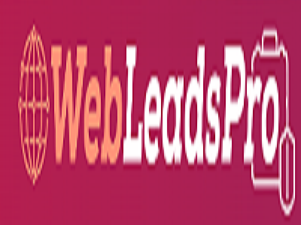 Data Giant - Web Leads