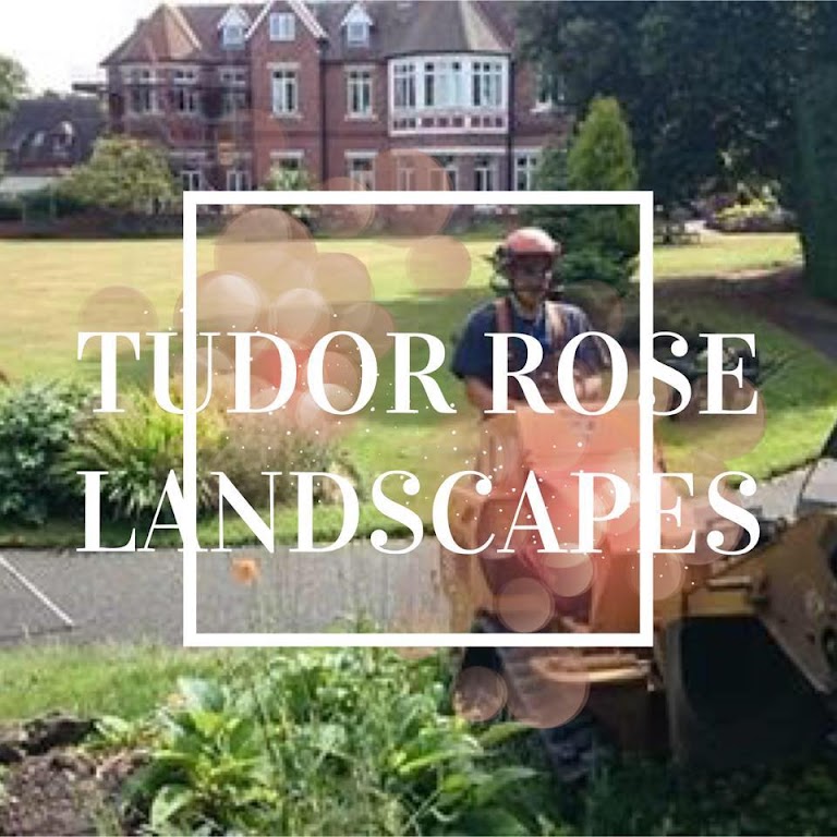 Tudor Rose Landscapes