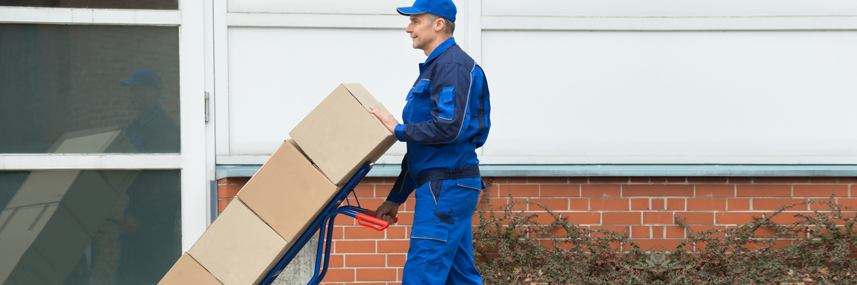 Removal north London