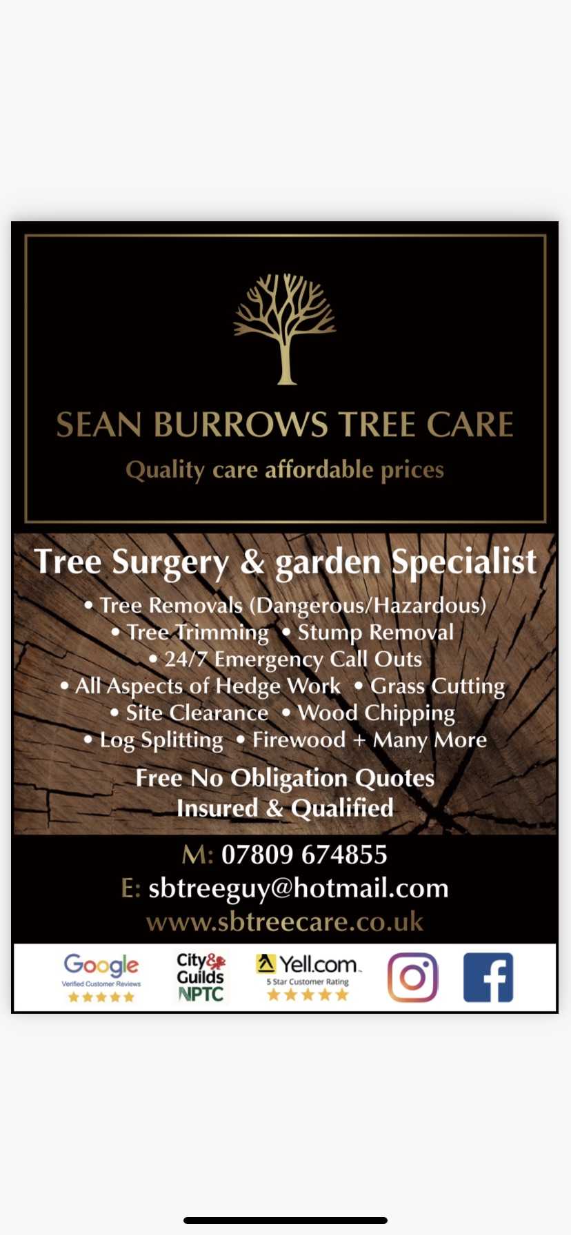 Sean Burrows Tree Care