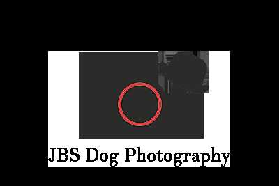 JBS Dog Photography