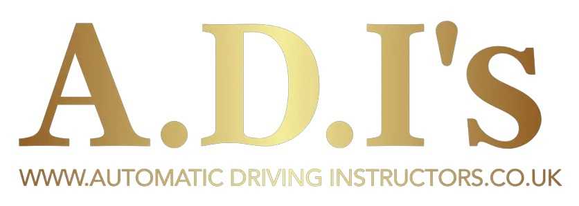 Automatic Driving Instructors