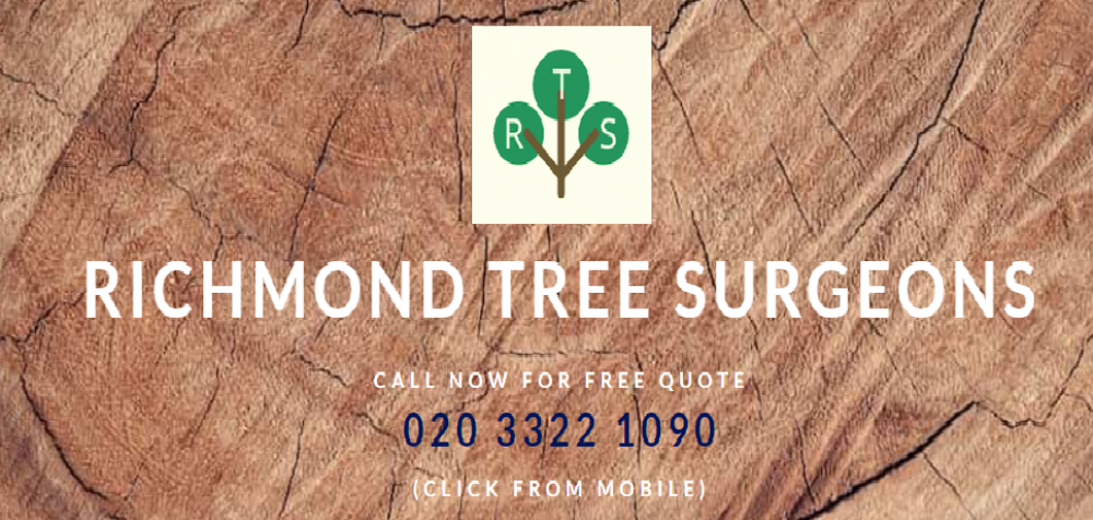 Richmond Tree Surgeons